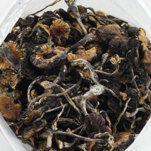 Order fresh mushrooms