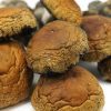 Magic mushroom Dispensary