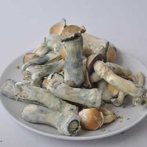 Order mushrooms