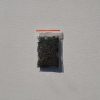 Salvia