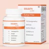 Endurance Booster Supplements - Shilajit tablets