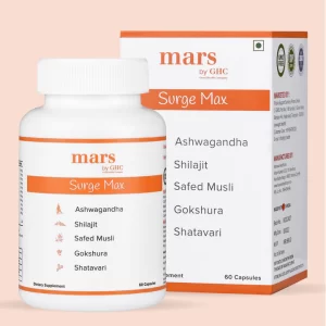 Endurance Booster Supplements - Shilajit tablets